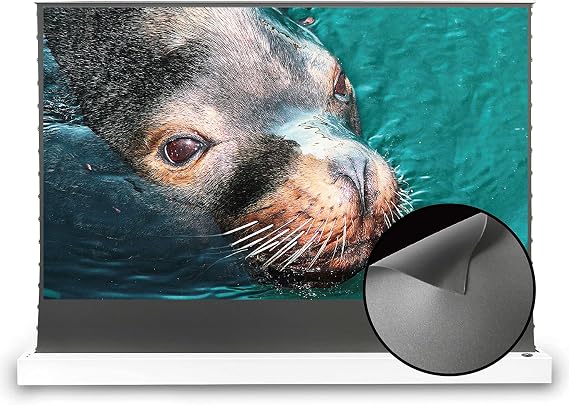 VIVIDSTORM-Long Focus Ambient Light Rejecting Screen Material,White Housing Motorized Floor-Rising Projection Screen,Compatible with Lumen up to 2500ANSI of Ordinary Projector,VWSDSTALR110H