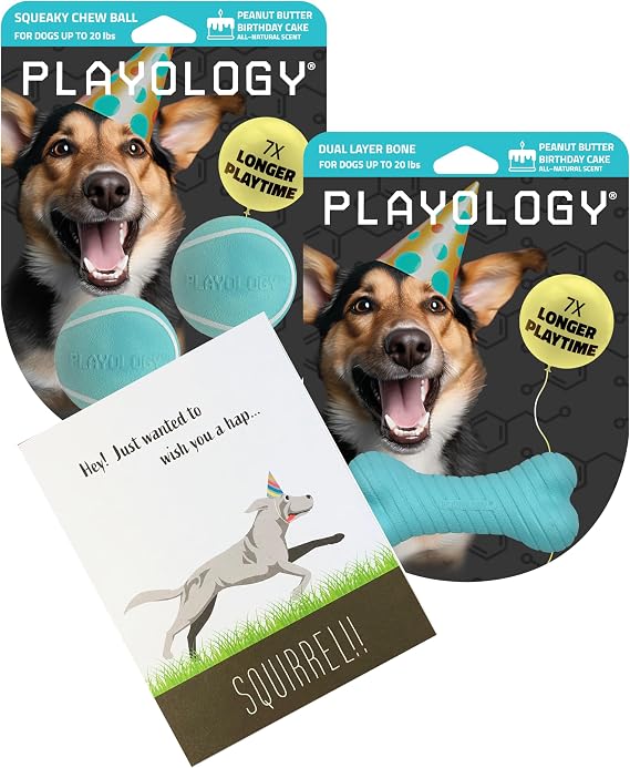 Playology Dog Birthday Toy Gift Pack - Small, Peanut Butter Scent