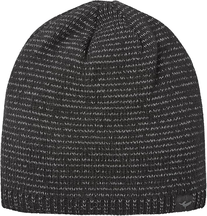 SEALSKINZ Waterproof Cold Weather Reflective Beanie