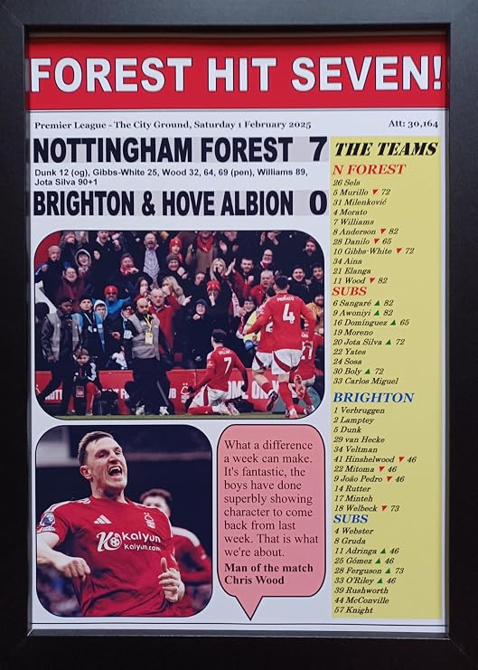 Nottingham Forest 7 Brighton 0-2025 Premier League - framed print