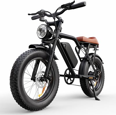 RKJ Electric Bike for Adults | Peak 1500W | 33MPH | 40-75 Miles | 48V 15.6AH Battery | 7-Speed | 3 Modes | Full Suspension | Dual Disc Brakes | 20 All-Terrain Fat Tires | UL 2849 Certified Black