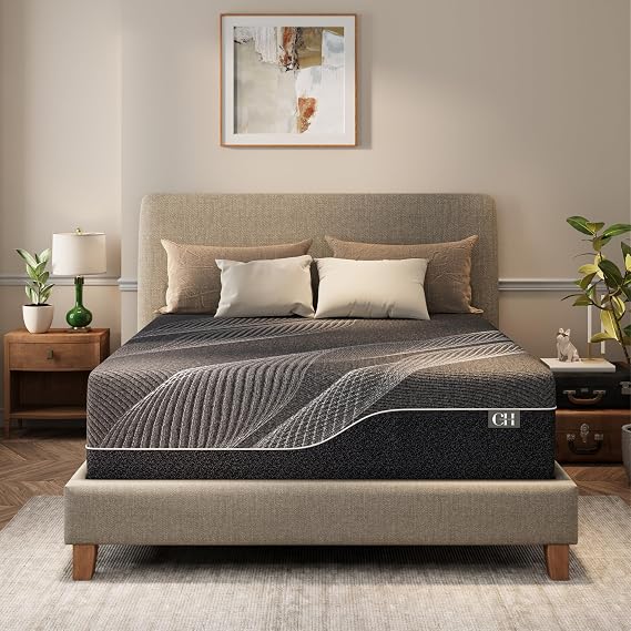 CH CHARME HOUSE 10 Inch Twin Mattress, Bamboo-Charcoal Memory Foam Mattress, Cooling & Pressure Relief, Bed in a Box, Foam Made in USA & CertiPUR-US Certified, 38"x75"x10", Black