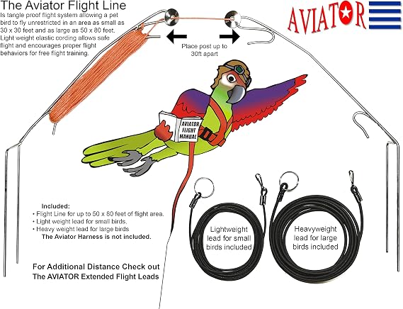 The AVIATOR Flight Line